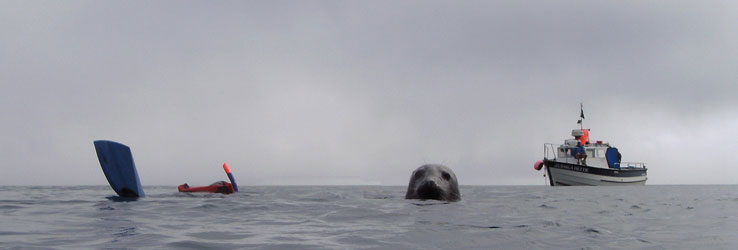 He's behind you!