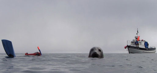 Lundy Island 2011