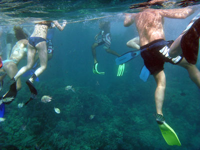 Snorkellers' legs