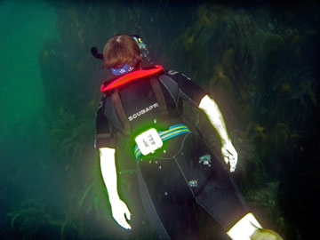 Adam duck diving