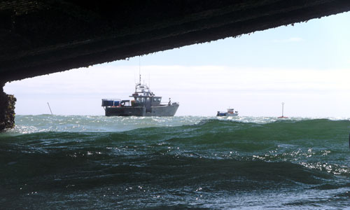 Under the Pier