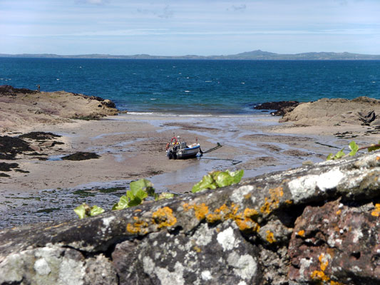 St. Bride's Haven