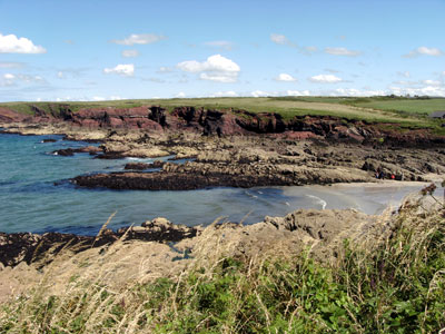 St. Bride's Haven