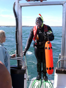 Tim ascends