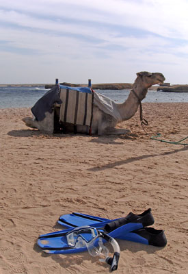 Beach at Sharm el Naga