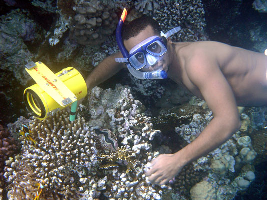 Hany finds Nemo!