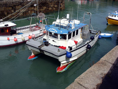 The Atlantic Diver