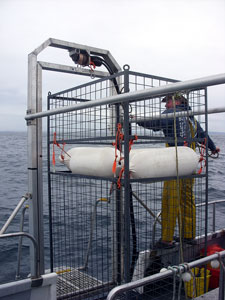 Preparing the cage