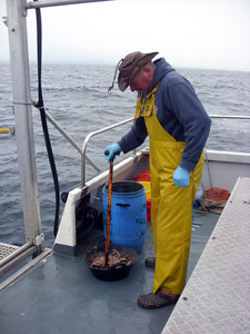 Preparing the Chum