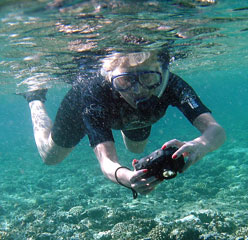 Egypt 2011