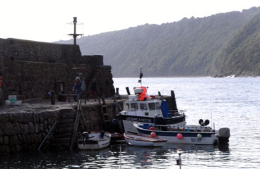 Clovelly Harbour