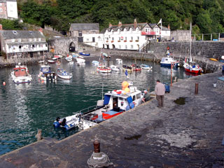 Clovelly Harbour