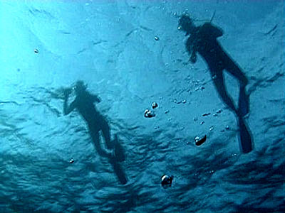 Sue and Paul viewed from underneath